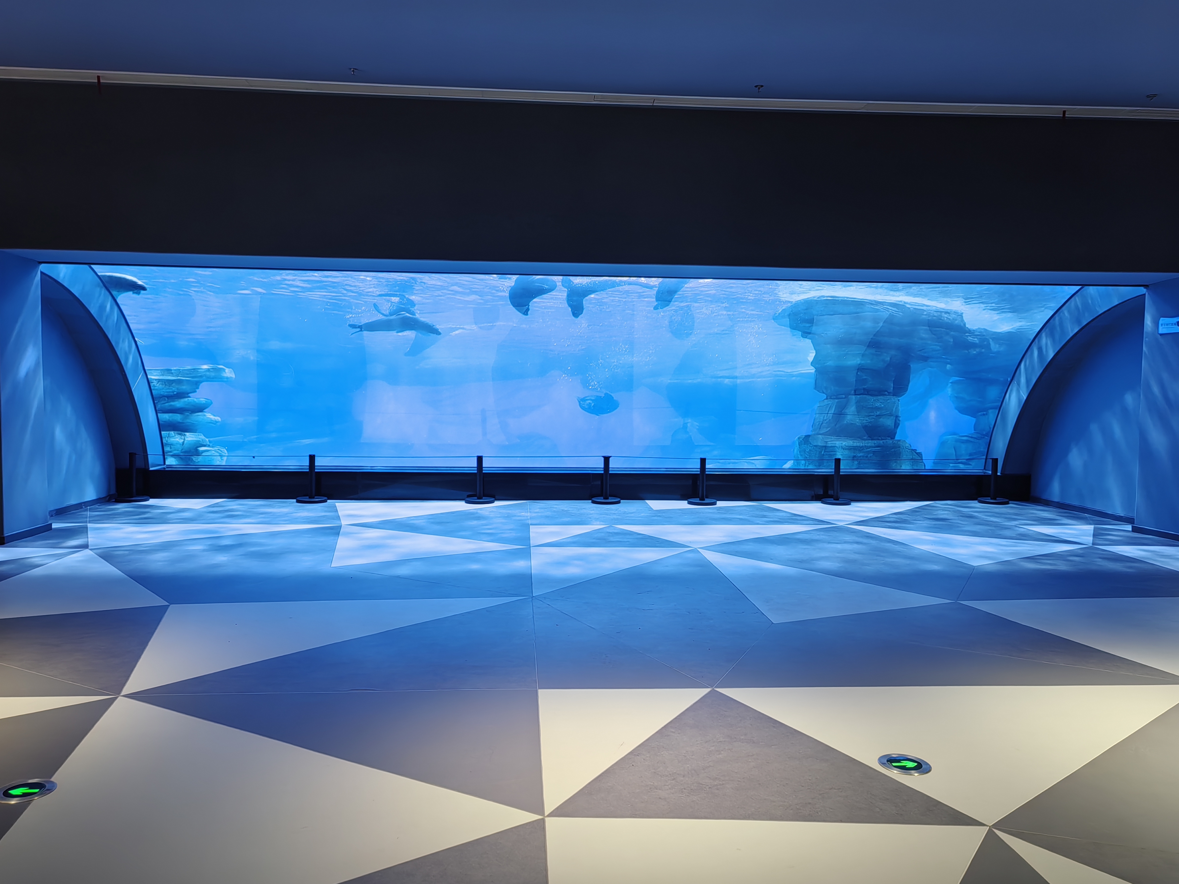 Zhengzhou Haichang Ocean Park1