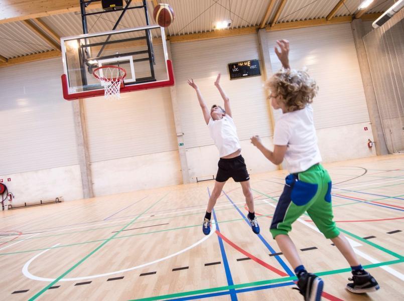 gerflor-segment-sport-bloc-1