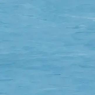 Coloris 2034 - scanmobile