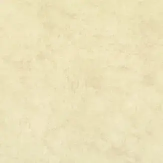 Transit Classic - 0304 - Cream