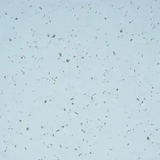 Mipolam Planet 5406 Moqui