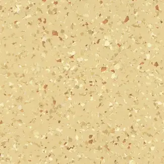 Streamo-Explorer-5010-Mumbai