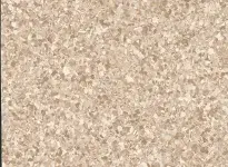 Streamo-Explorer-5001-Miami