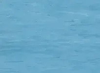 Coloris 2034 - scanmobile