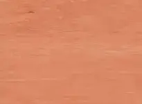 Coloris 2037 - scanmobile