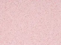 gerflor-streamo-sailer-4481-rosaspina