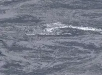 2016-PEWTER013-CI-opti