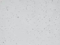 Mipolam Planet 5409 Pebble Beach