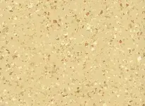 Streamo-Explorer-5010-Mumbai