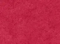 Transit Classic - 0312 - Ruby