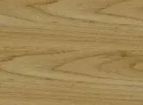 Taralay Emotion - 0503 - Honey