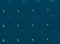 streamo_clipper_rt_0004_dark_blue