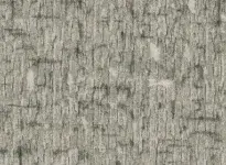 Taralay Emotion - 0712 - Smoke