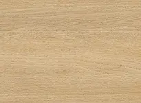 Taralay Emotion - 1116 - Golden