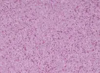 gerflor-streamo-sailer-4482-orchid