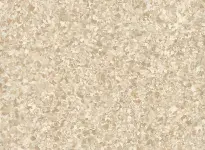 Streamo-Explorer-5004-Halifax